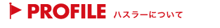 ハスラー株式会社について